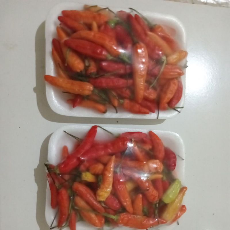 

Cabe rawit domba