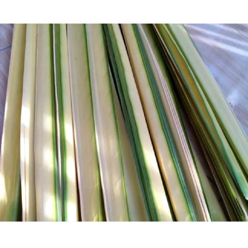 

promo janur kelapa / daun Kelapa muda pr35 lidi/ 70lembar