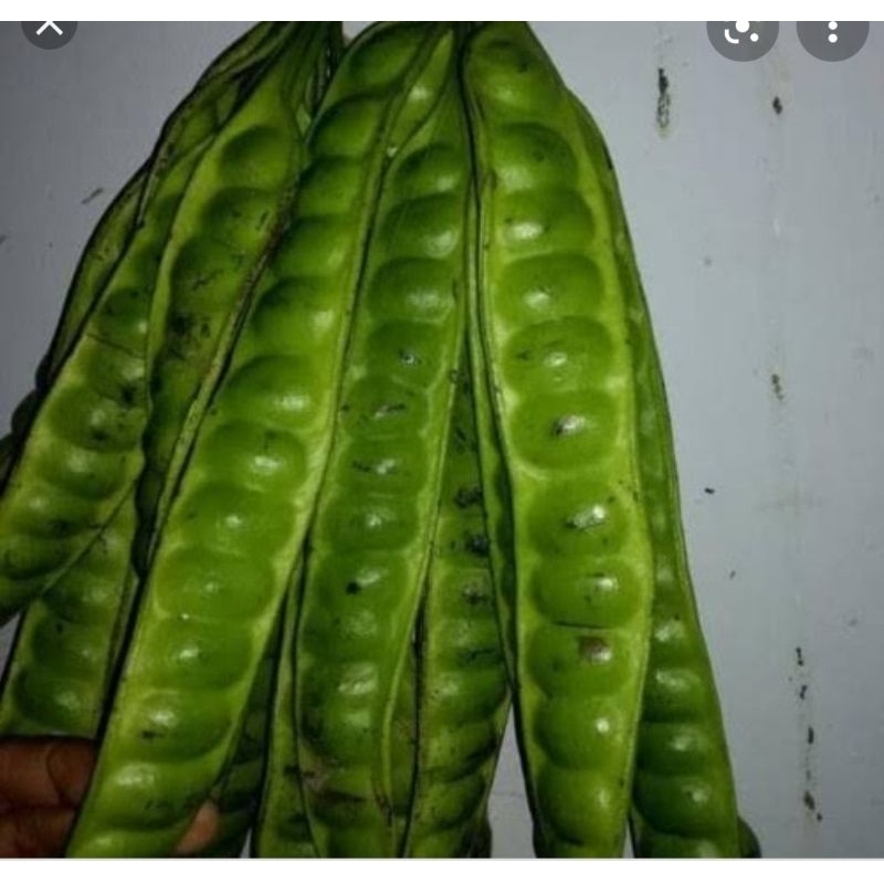 

RB Pete lalap 2 papan