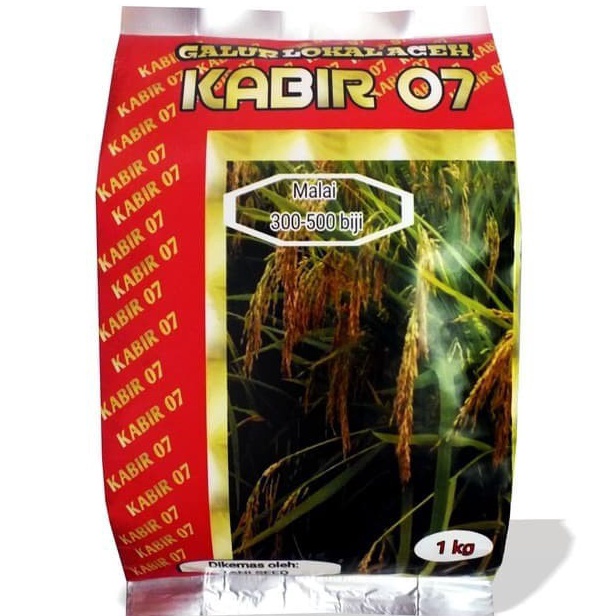 DISKON BOMBASTIS Benih Padi Unggul Kabir 7