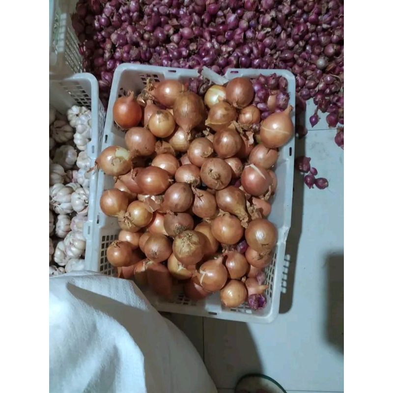 

bawang bombay