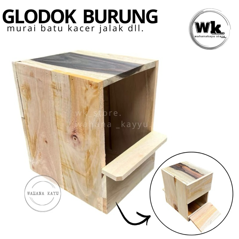 glodok burung murai kacer jalak | glodok ternak model plong