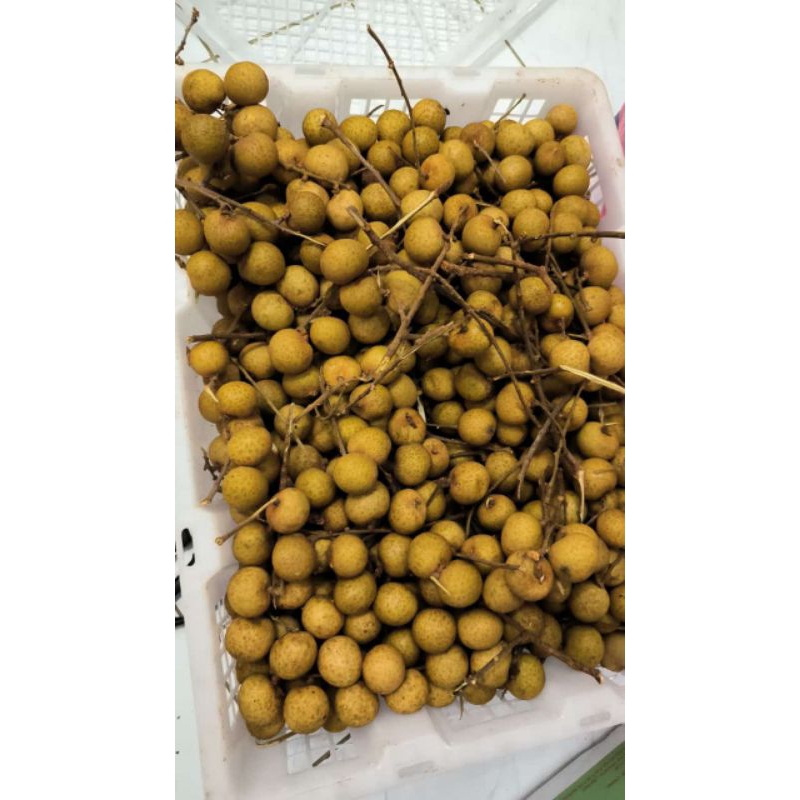

Lengkeng M mas 1 kg
