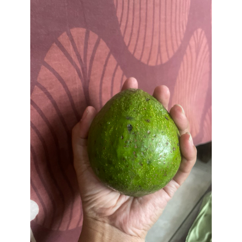 

Alpukat mentega