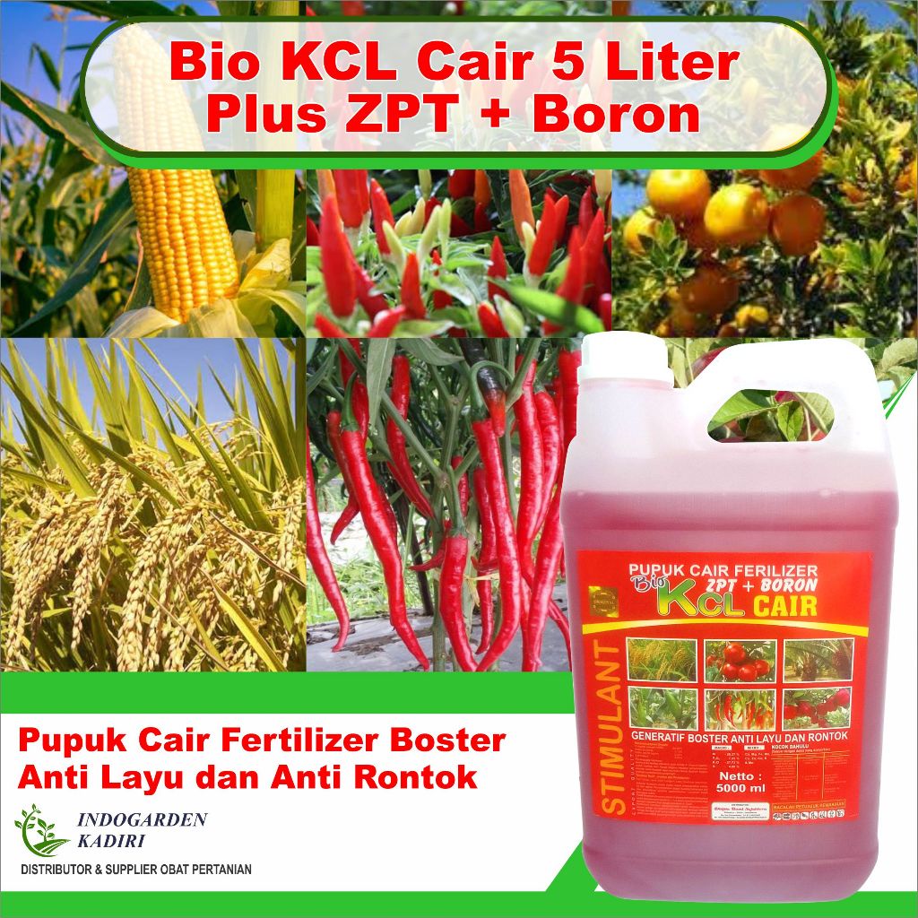 Pupuk Tebaik Untuk Sawit Pupuk Cair Bio KCL Prima Plus Boron ± 5 Liter - Pupuk KCL Kualitas Tinggi