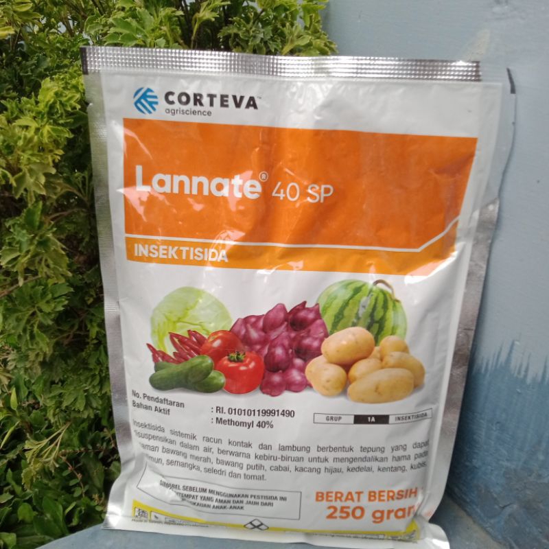 ￼CORTEVA Lannate 40SP 250gram - Insektisida