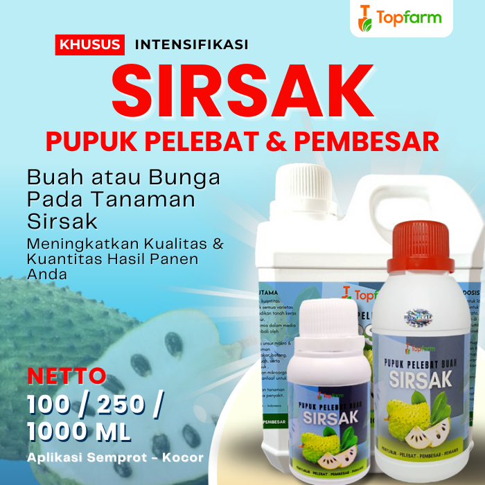Pupuk Booster Buah Sirsak / Pupuk Buah Sirsak / Pupuk Cepat Buah Sirsak / Pupuk Pelebat Buah Sirsak 