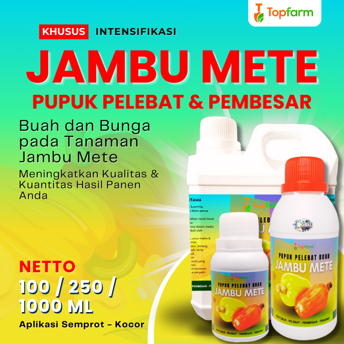 Pupuk Jambu Mete / Pupuk Pelebat Buah / Pupuk Pelebat Buah Jambu Jamaika / Pupuk Pelebat Buah Jambu 