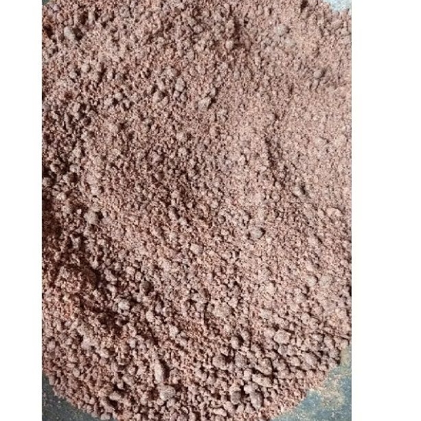 

Terasi Sangrai asli puger 100gr istimewa enak