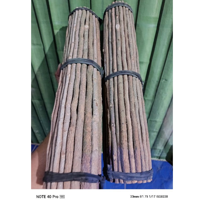 TANGKRINGAN KAYU ASEM JAWA ASLI,BURUNG CIBLAK KENARI BUKAN ASEM TETEAN