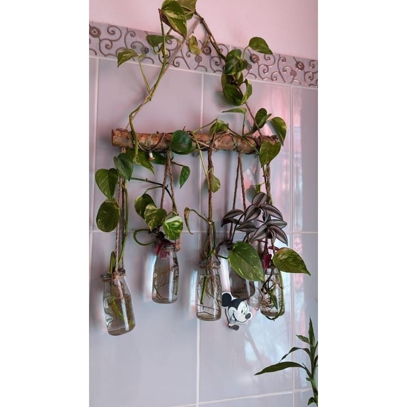 VAS/POT GANTUNG BOTOL KACA 1 PAKET (ISI 5 BOTOL) //DEKORASI RUANGAN//PAJANGAN DINDING//PAJANGAN RUAN