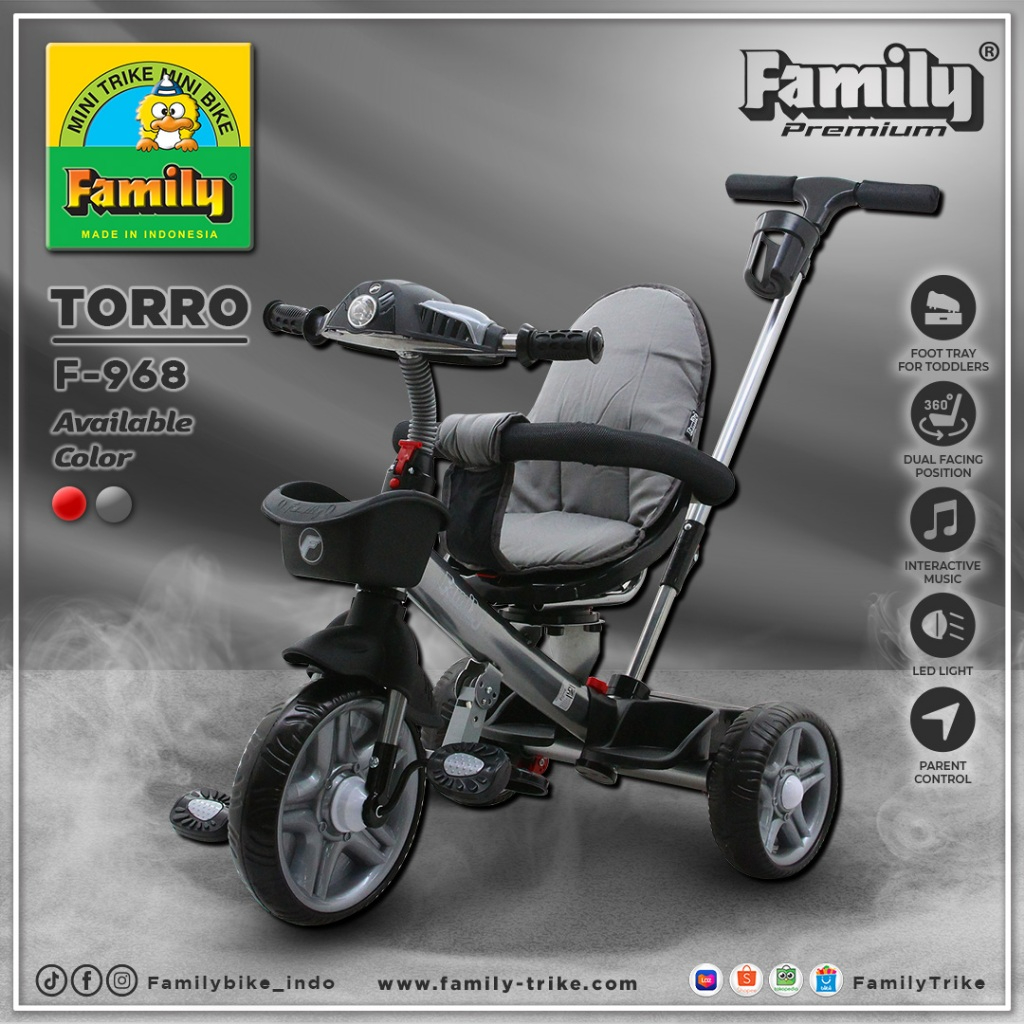 SEPEDA ANAK RODA 3 FAMILY 968 TORRO