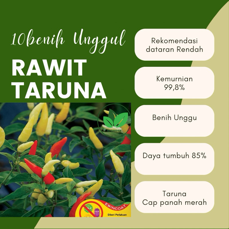 10 Benih Unggul Cabai Rawit taruna Cabe rawit taruna