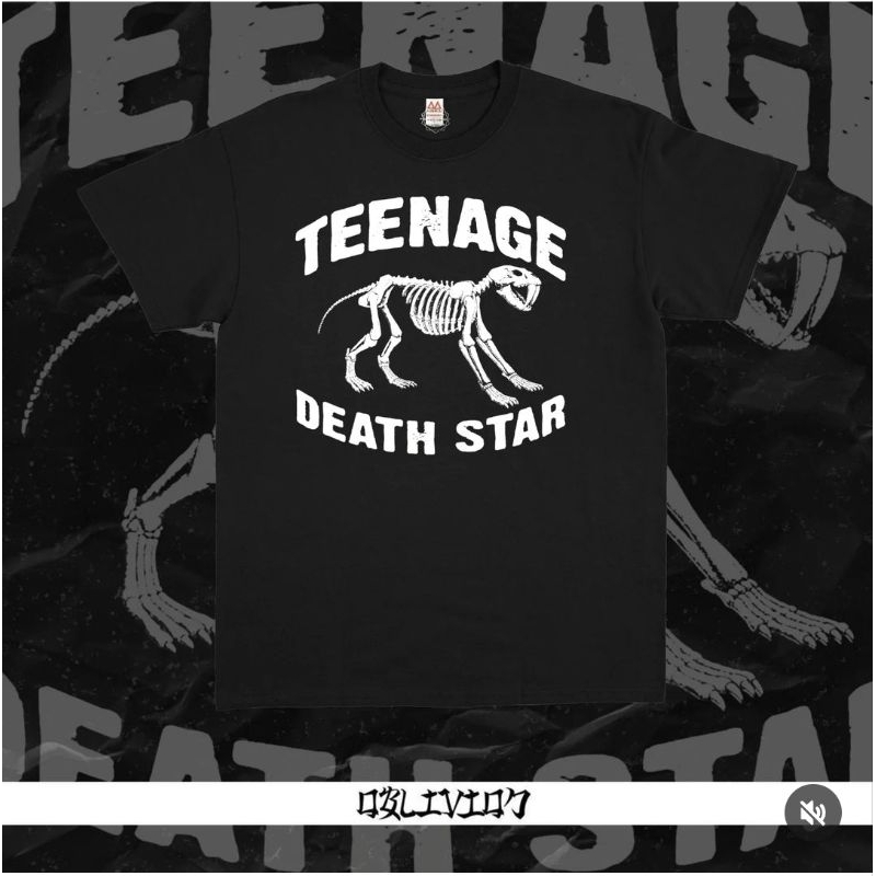 TEENAGE DEATH STAR - LIAR