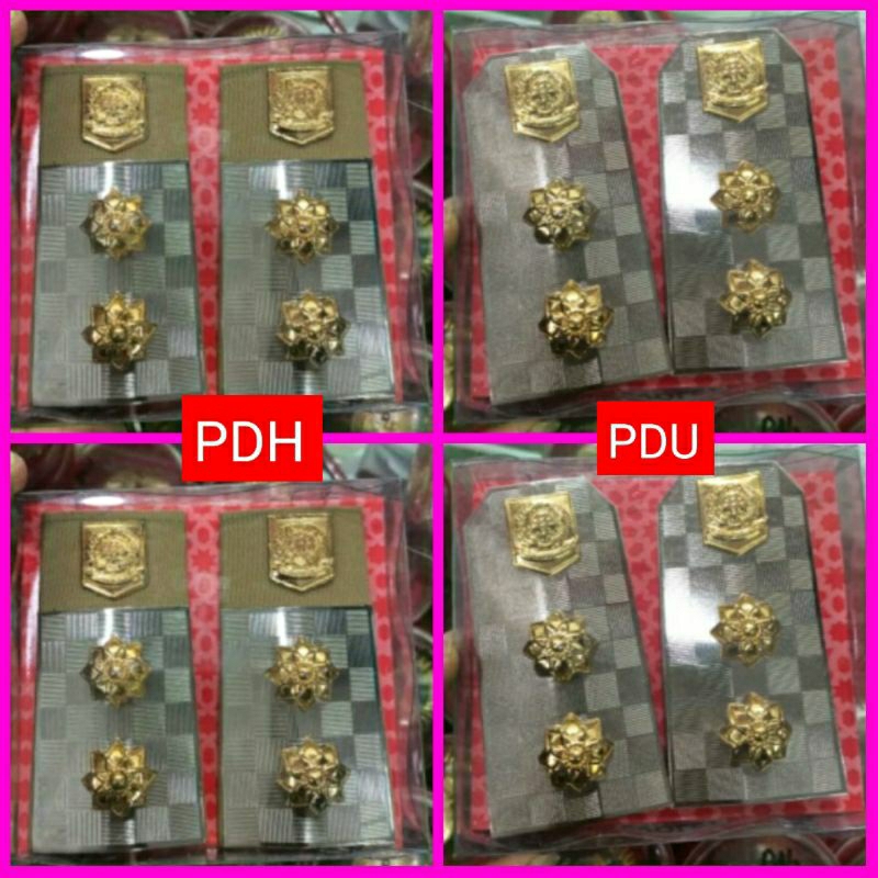 PANGKAT PDH WAKIL BUPATI/EVOLET PDH WAKIL BUPATI/ BUPATI