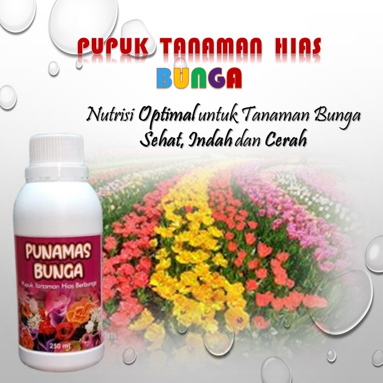 PUPUK BUNGA / PUPUK BUNGA TANAMAN HIAS / PUPUK TANAMAN HIAS SEMUA JENIS / VITAMIN BUNGA