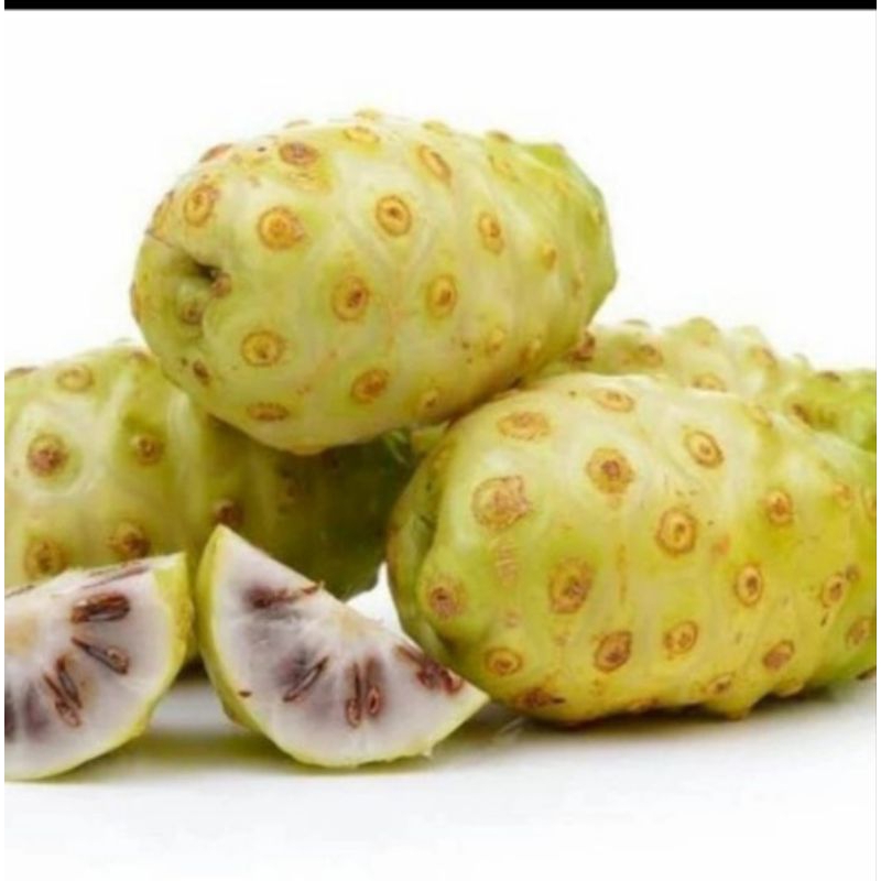 

Buah mengkudu matang 500gram
