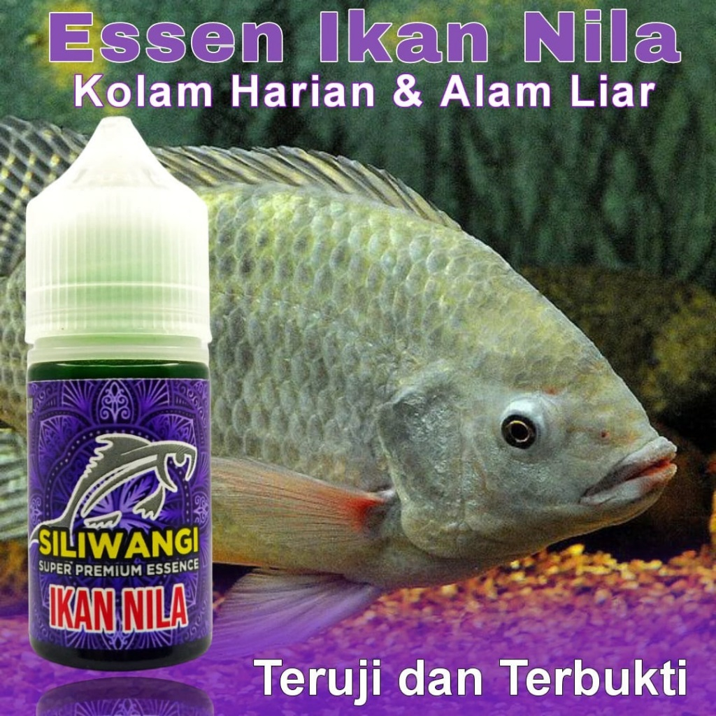 Essen Ikan Nila Paling Gacor Media Umpan Lumut, Essen Ikan Nila Paling Ampuh Essen Ikan Nila Media P