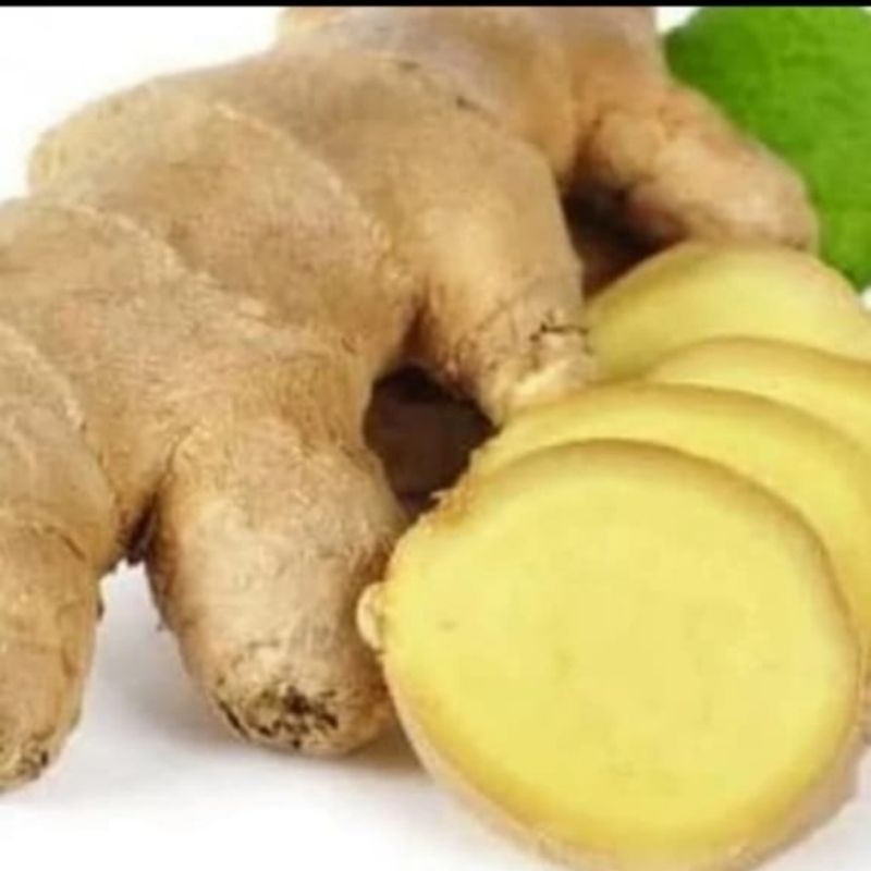 

Jahe Putih Segar 1 Kg