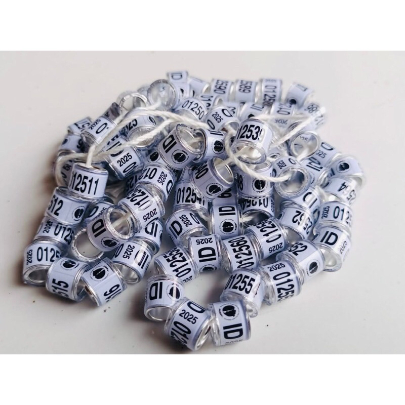 RING RESMI MERPATI POS POMSI ID 2025