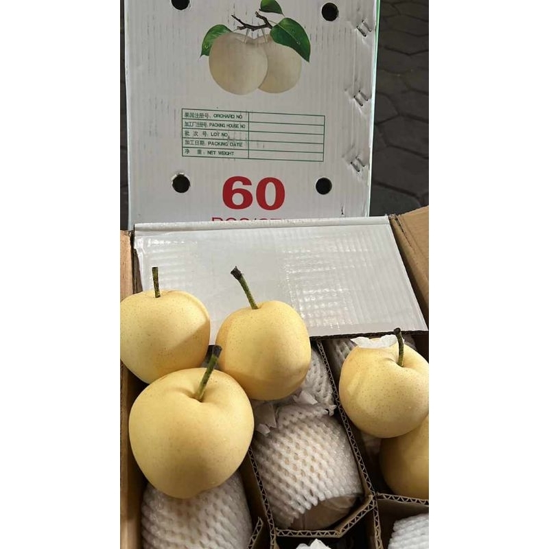 

Pir century 1kg