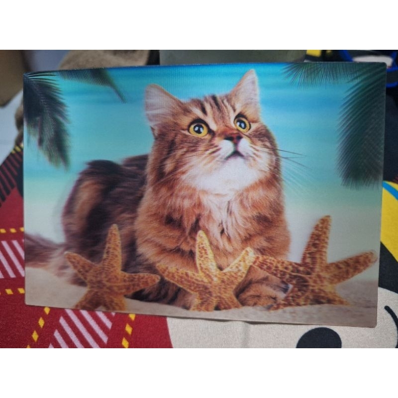 

kartu pos kucing 3D cat postcard
