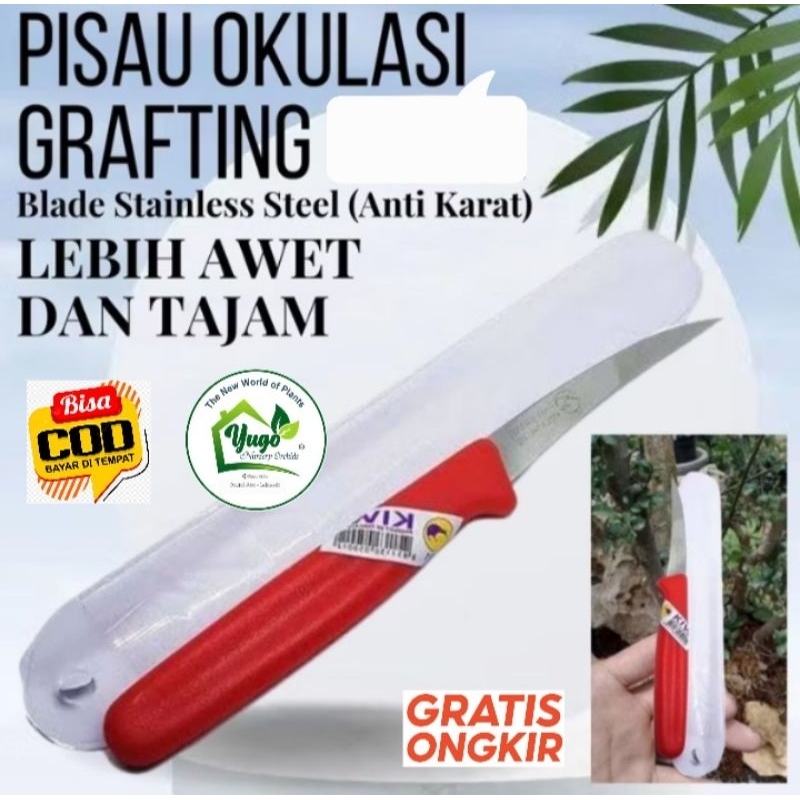 pisau grafting super tajam anti karat