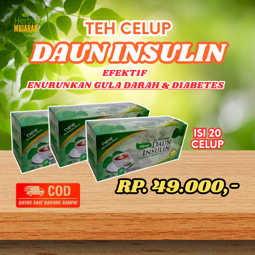 

DAUN INSULIN MENURUNKAN GULA DARAH | DAUN YAKON ATASI DIABETES | OBAT DIABETES ALAMI