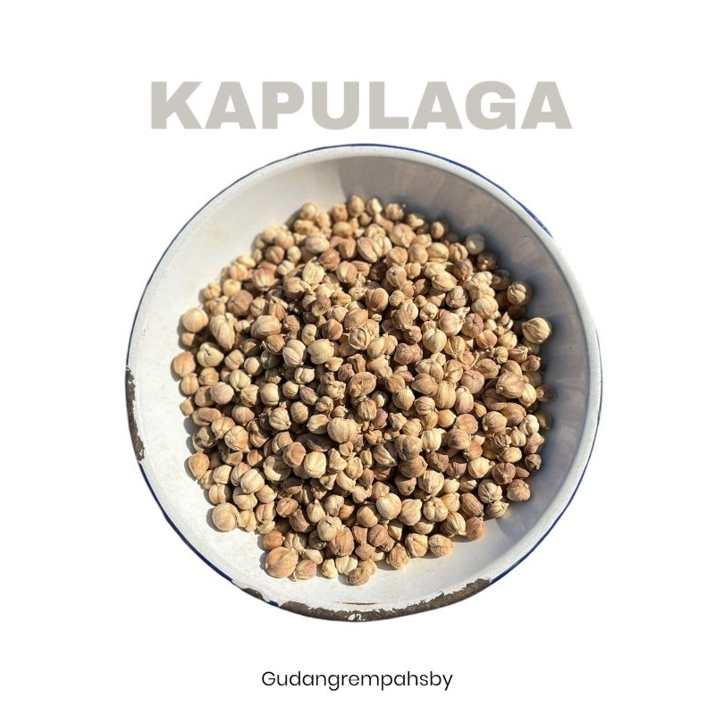 KAPULAGA PUTIH / KAPULAGA JAWA