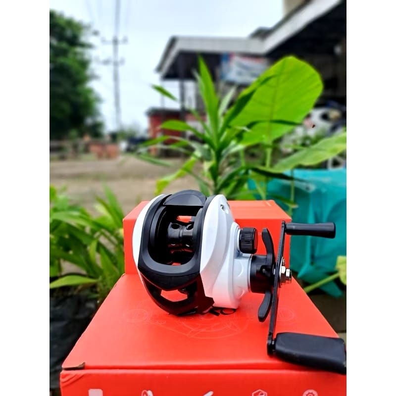 reel bc zorro kaiden