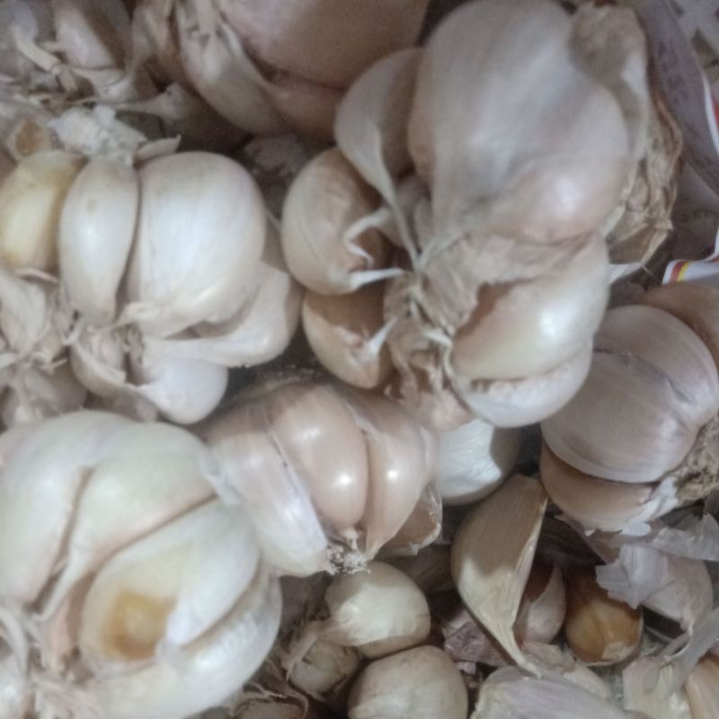 

bawang putih banci/honan per 250 gr