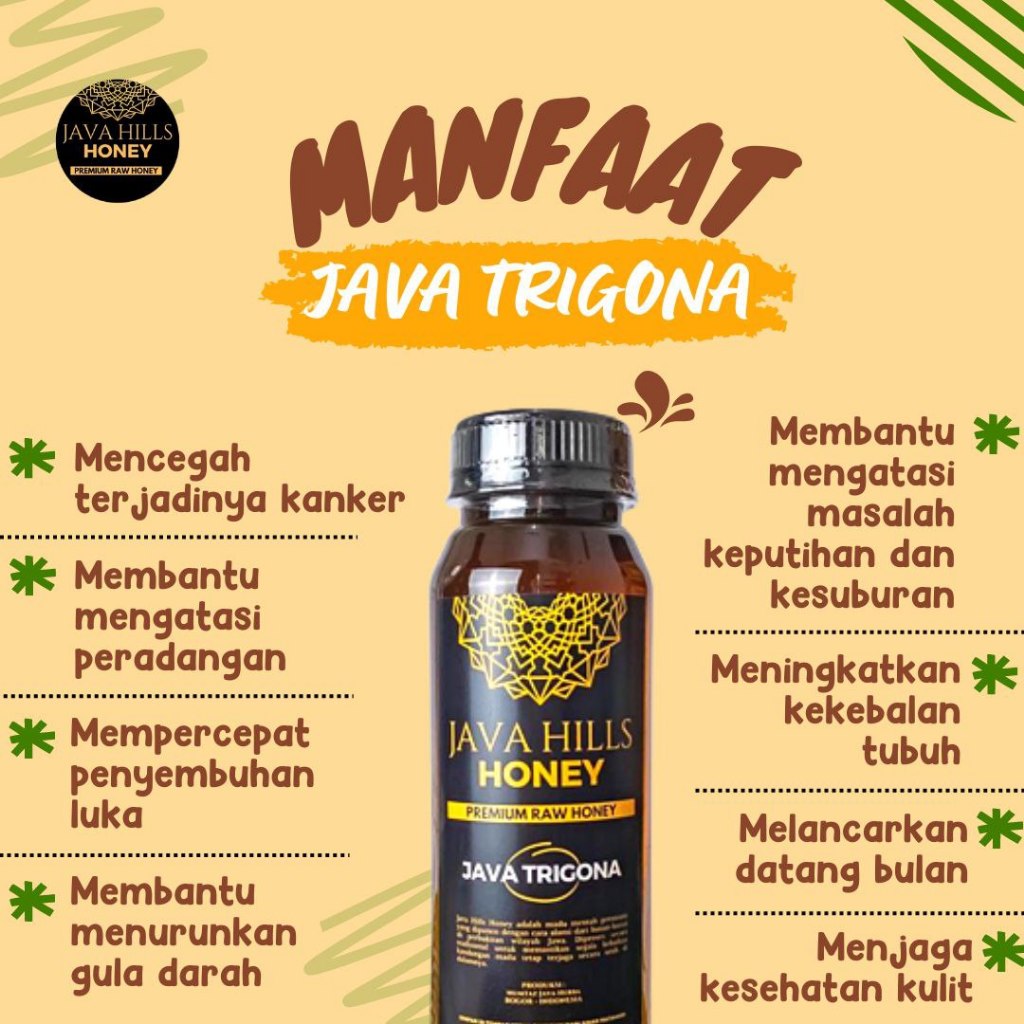 

Madu Java hills Honey-Madu trigona-Madu kanker gula darah-madu kesehatan kulit-madu menurunkan gula