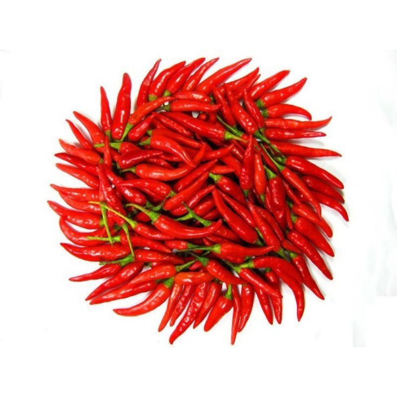 

Cabe rawit 100gr