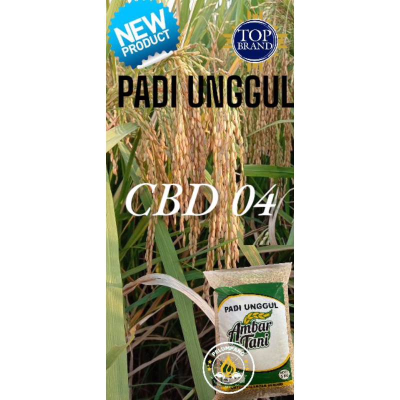 BIBIT BENIH PADI UNGGUL CBD 04 ORIGINAL PREMIUM Kemasan 5 kg