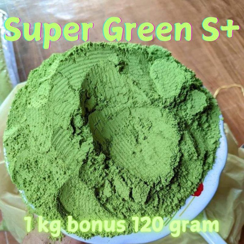 

SANJAYA BOTANICAL powder bubuk S+ bubum daun purli bubuk hijau pontianak