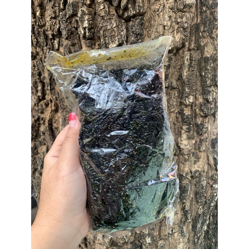 

RUMPUT LAUT KILOAN//RUMPUT LAUT