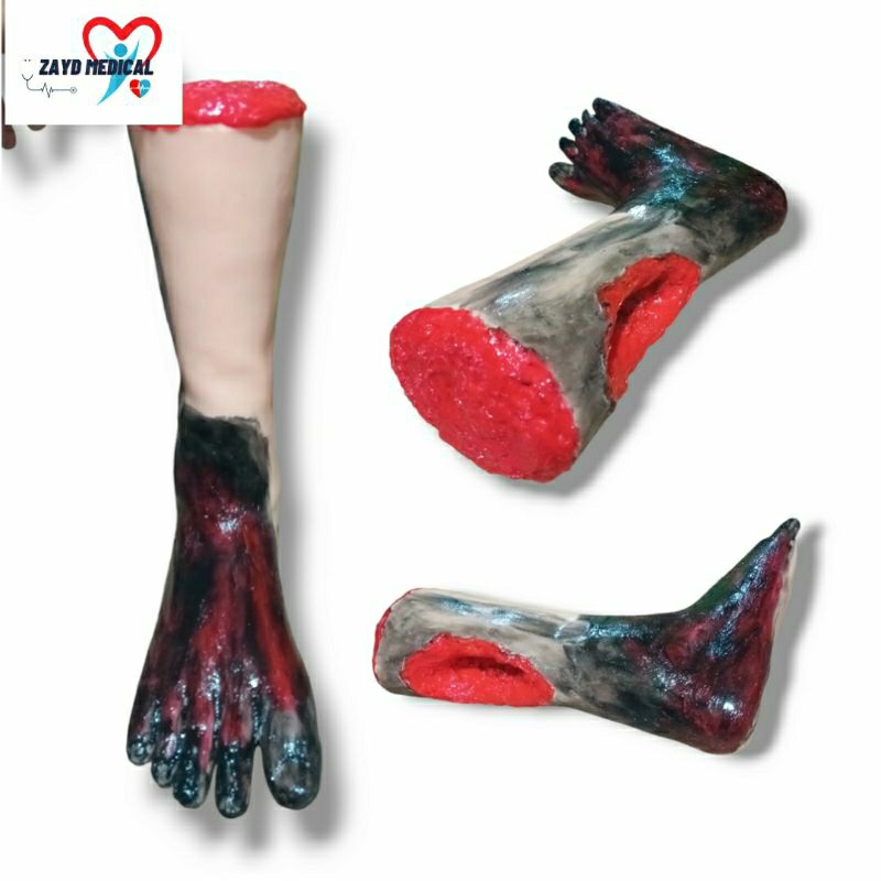 Phantom Manikin kaki Luka Decubitus Silicone
