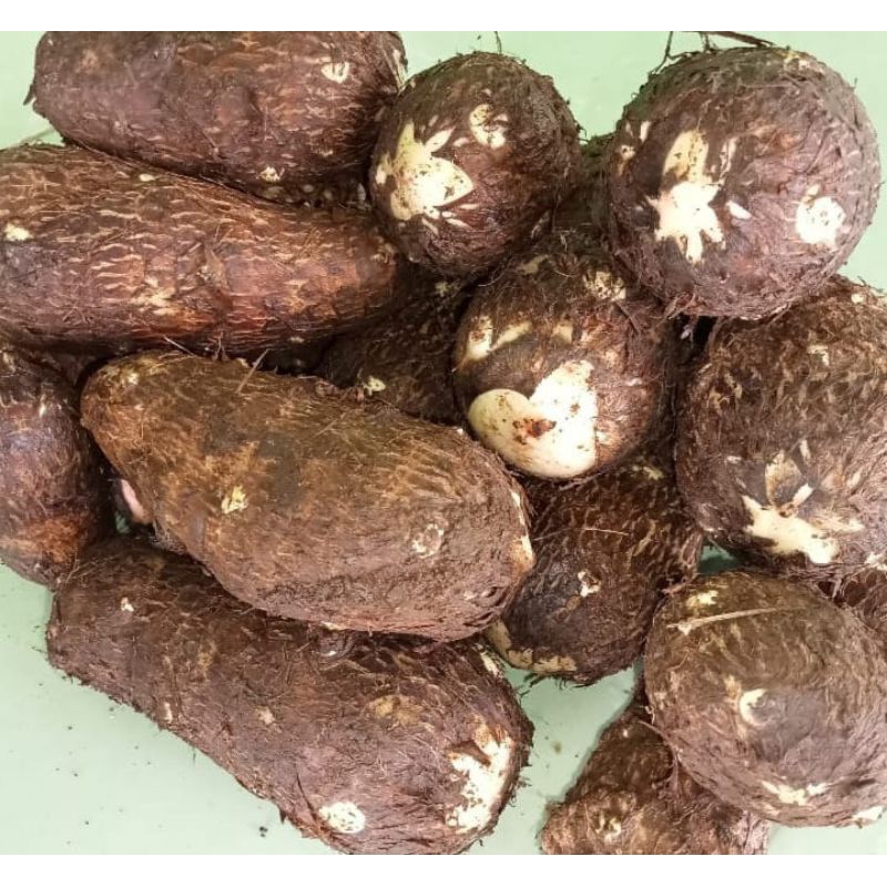 

Talas Balitung kimpul fresh 1Kg/500gr