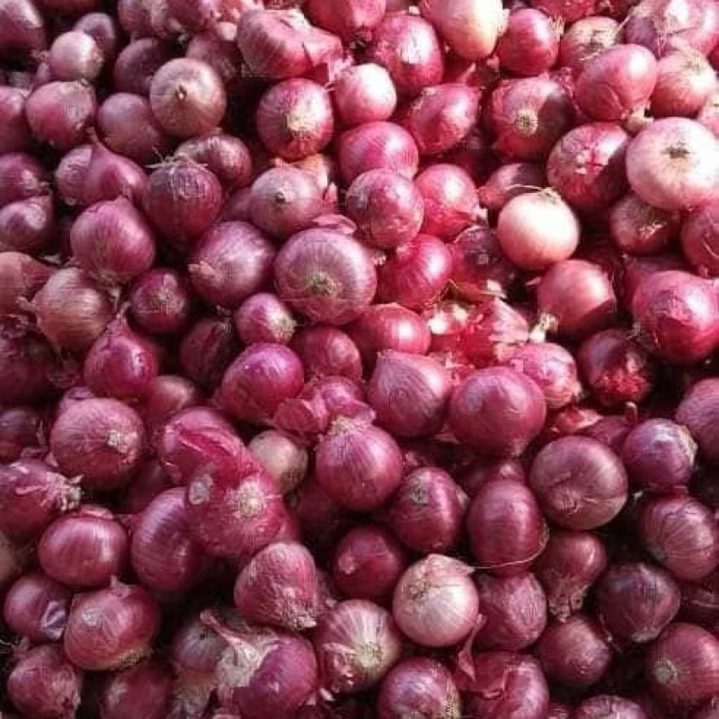 

bawang merah asli Brebes