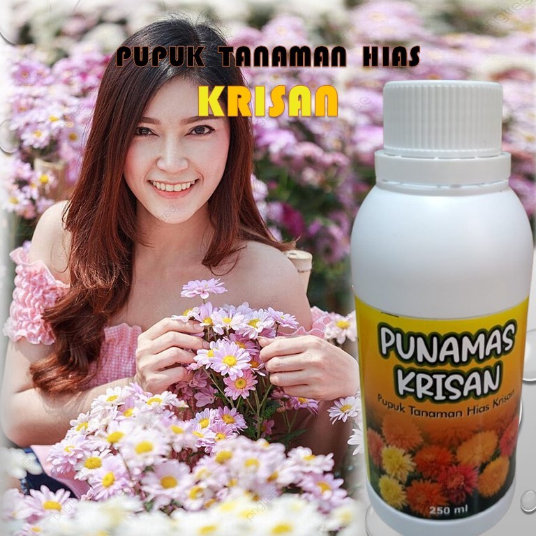 PUPUK BUNGA / PUPUK BUNGA KRISAN / PUPUK BUNGA CAIR / PUPUK BUNGA TANAMAN HIAS / BOOSTER BUNGA