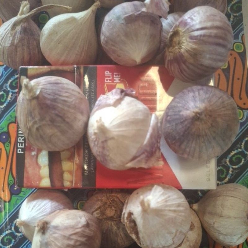 

Bawang Tunggal/Bawang Lanang/Bawang Obat 1kg