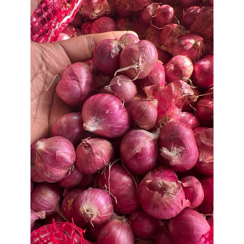 

Bawang Merah Super 500 gram