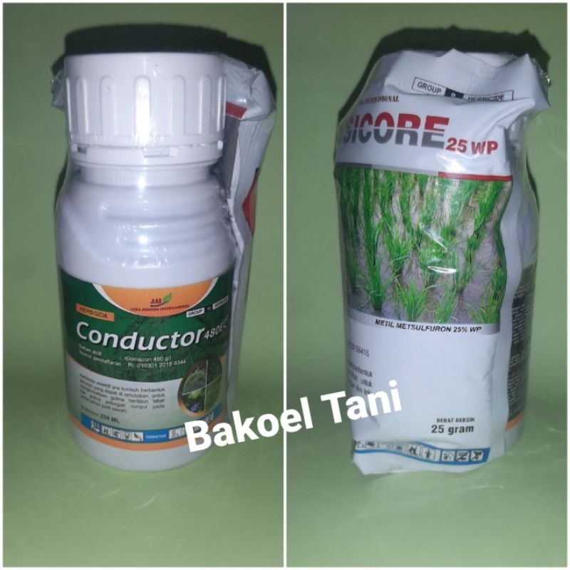 Herbisida Selektif Padi CONDUCTOR 480EC + RESICORE 25WP