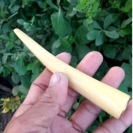 Once kayu kemuning gading12cm