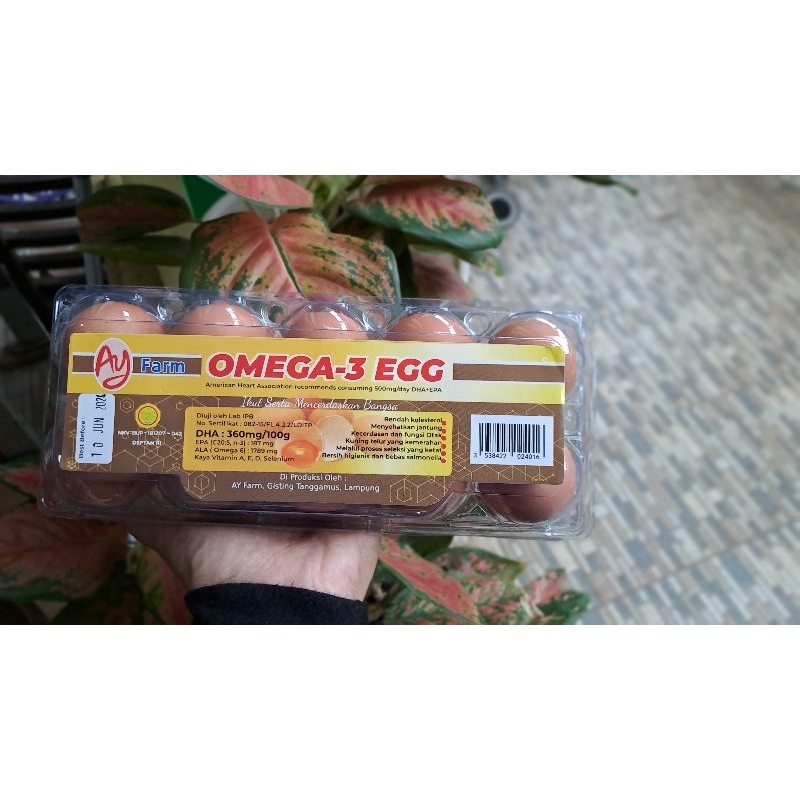 

Telur omega 3