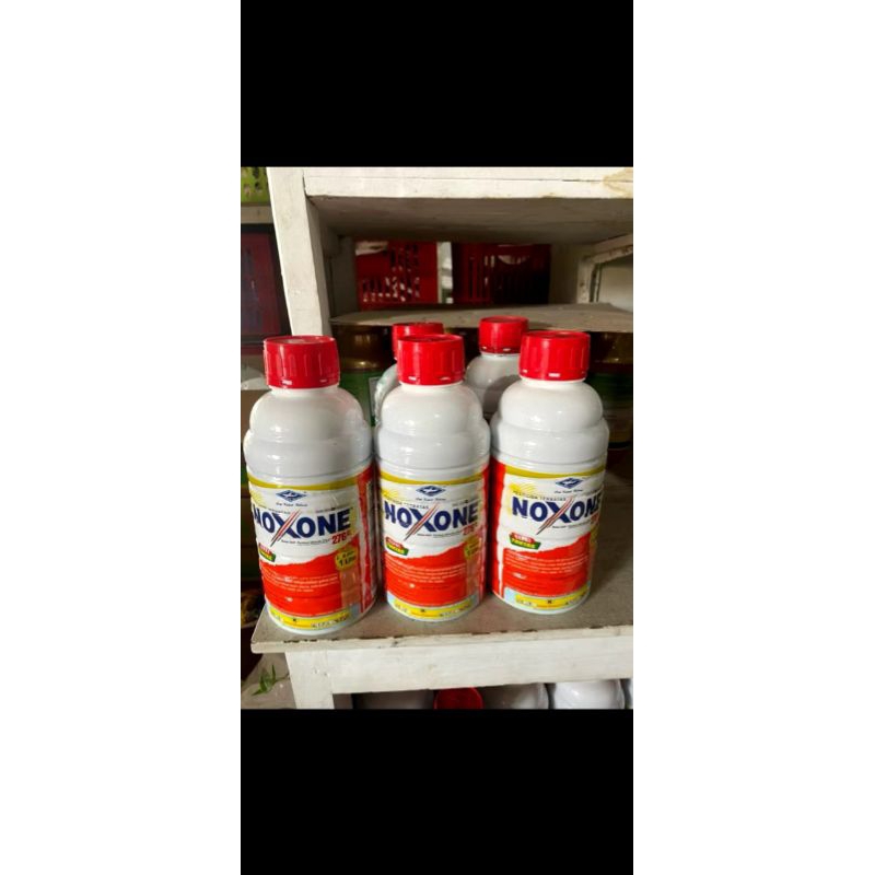 Herbisida Noxone 276SL