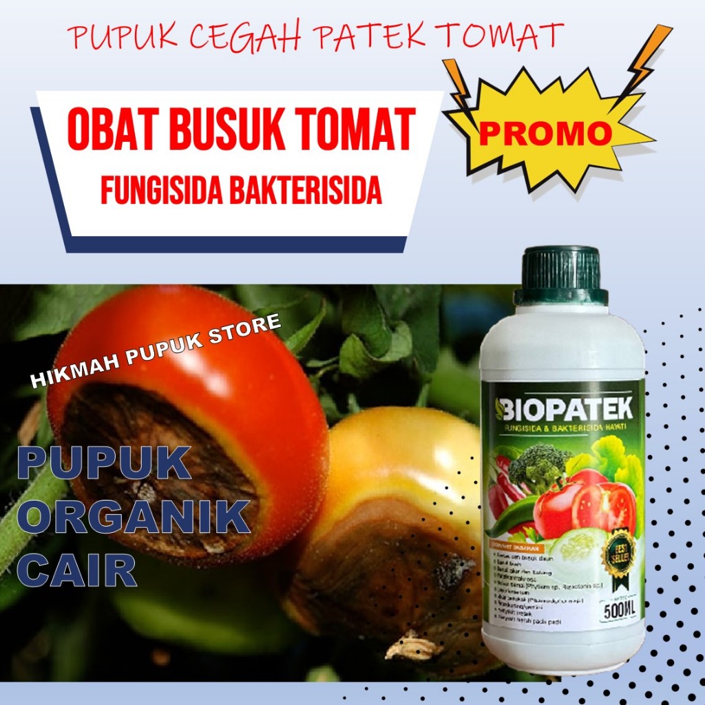 BUANAPATEK Fungisida Hayati Obat Penyakit TOMAT Daun Kuning Ampuh, Obat Daun TOMAT Menguning & Mati 
