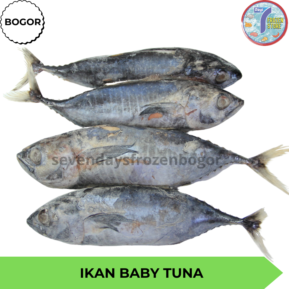

Ikan Baby Tuna Frozen Beku Halal Kemasan 1 Kg
