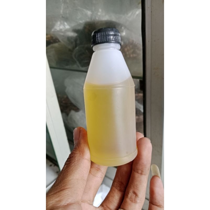 sulingan murni minyak Cendana Kupang isi 50ml