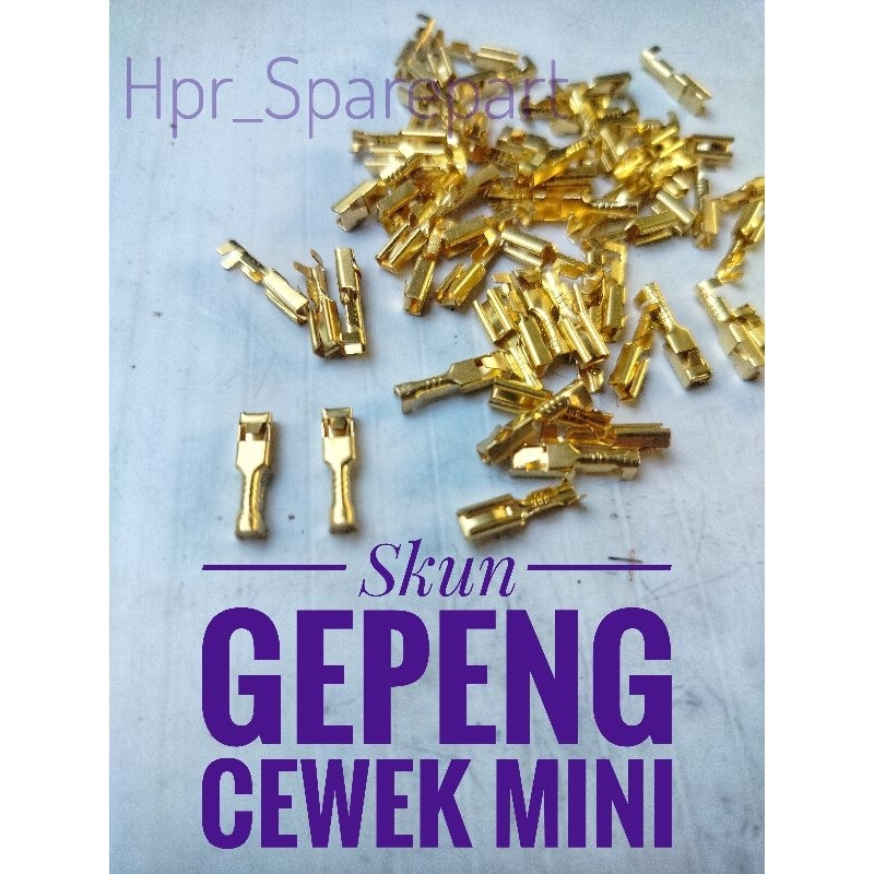 Skun Terminal Gepeng Cewek Kecil/Mini